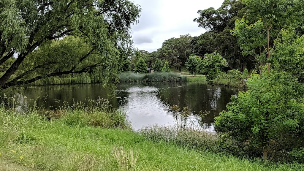 Musgrave Pond | 101 York Rd, Queens Park NSW 2022, Australia | Phone: (02) 9339 6699