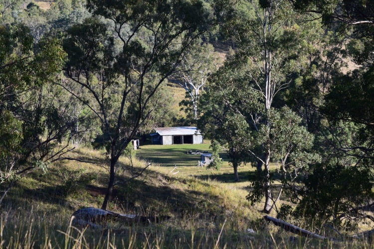 Banjos Campsites at Farringdon | 226 Farringdon Rd, Tabooba QLD 4285, Australia | Phone: 0459 748 183
