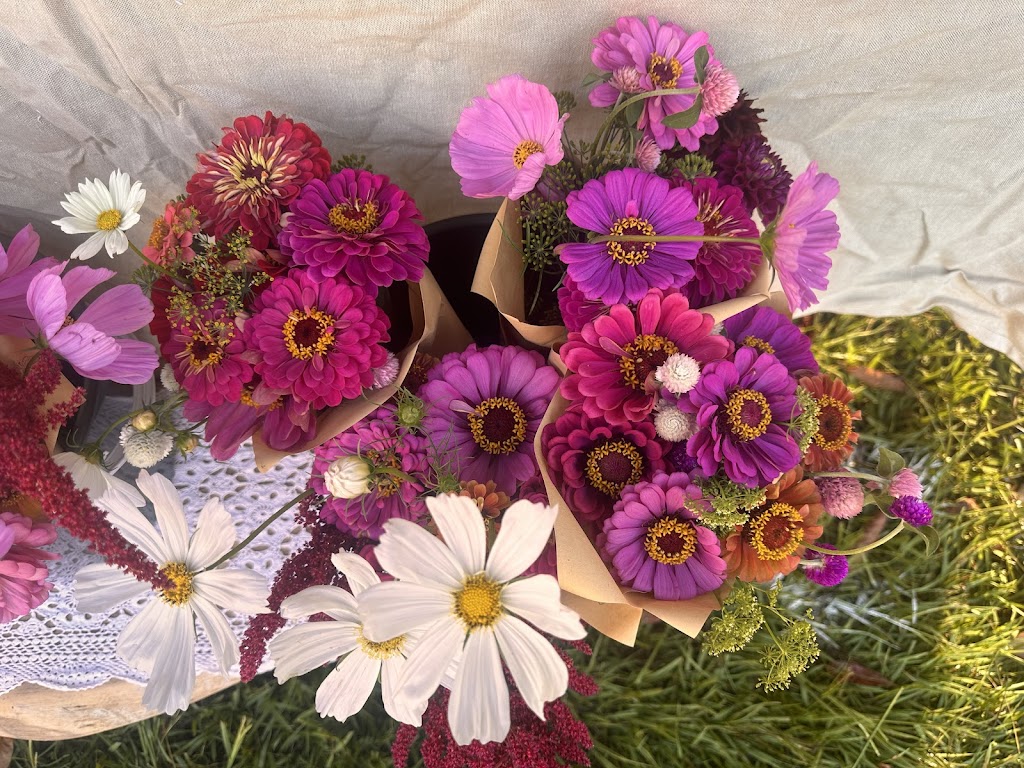 Flower Eros | Pinchin Rd, The Channon NSW 2480, Australia | Phone: 0457 729 862