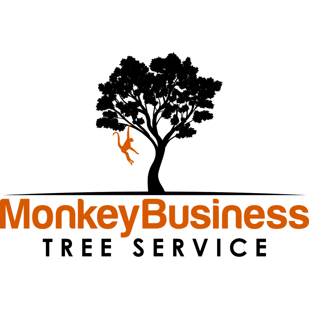 Monkey Business Tree Service | Nambour Bli Bli Road, Bli Bli QLD 4560, Australia | Phone: 0415 142 911