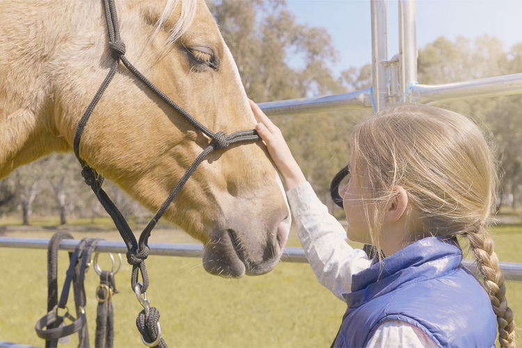 Woodlands Trail Riding (Riding Location) | Somerton Rd, Greenvale VIC 3059, Australia | Phone: 1300 966 352