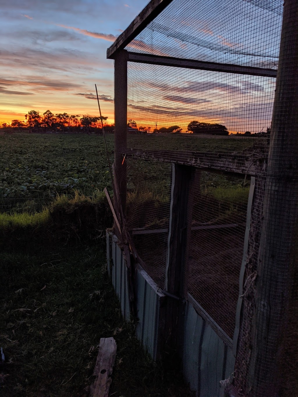 Honeys Petting Farm | 33 Honeys Rd, Wonthaggi VIC 3995, Australia | Phone: 0492 444 382