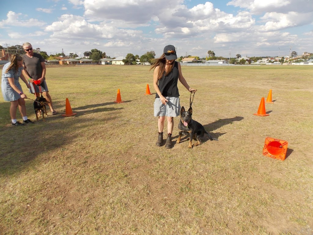 Dogtivities | 93 Australasia Dr, Creswick VIC 3363, Australia | Phone: 0407 867 413