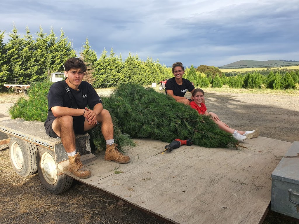 North Pole Christmas Trees Farm | 1000 Old Sydney Rd, Beveridge VIC 3064, Australia | Phone: (03) 9308 3571