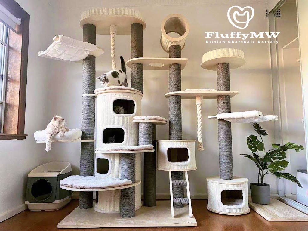 FluffyMW Cattery Boarding | Glenidol Rd, Oakville NSW 2765, Australia | Phone: 0499 142 889