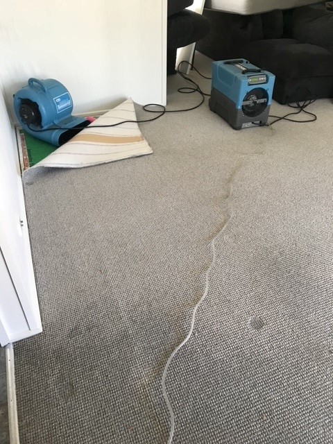 Bass Coast Flood Restoration | 10 Settlement Rd, Silverleaves VIC 3925, Australia | Phone: 0499 689 408