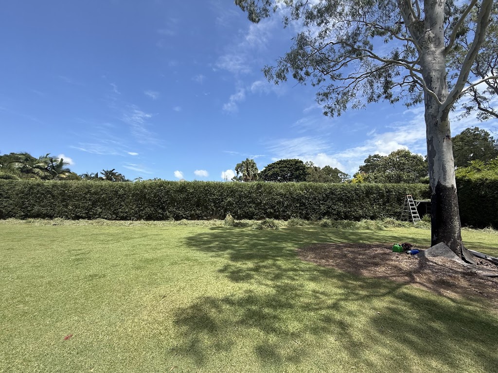The Gardener & Co. | 189 Jefferson Ln, Palm Beach QLD 4221, Australia | Phone: 0460 941 392