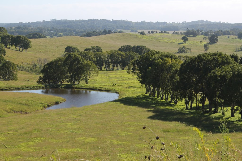 Dingo Lane Farms |  | 266 Dingo Ln, Myocum NSW 2481, Australia | 0417983546 OR +61 417 983 546