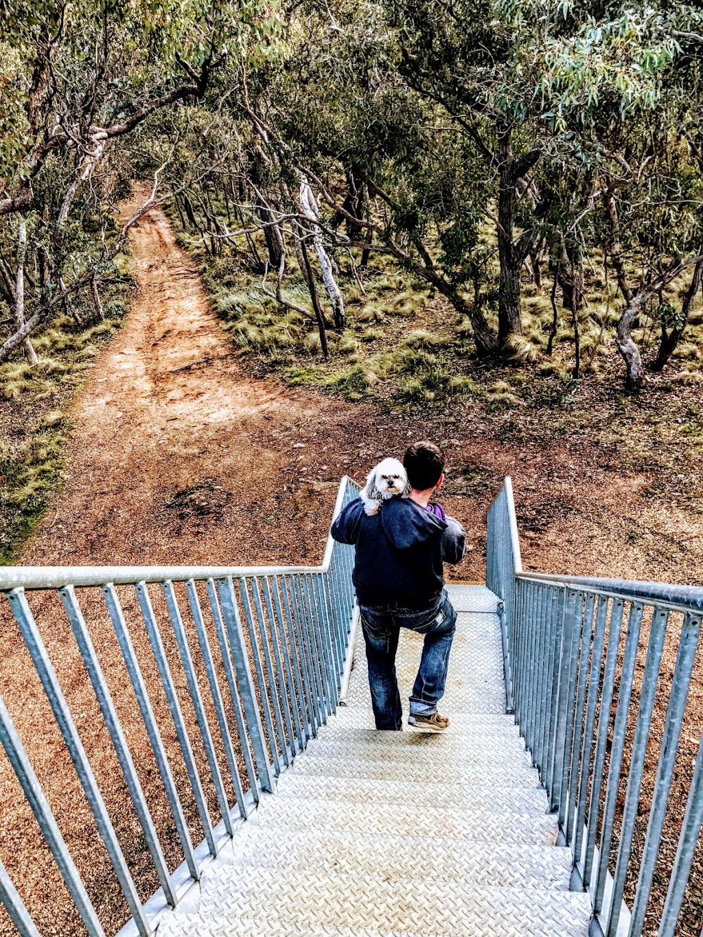 Governor Rock Lookout Tower | park | Percydale VIC 3478, Australia