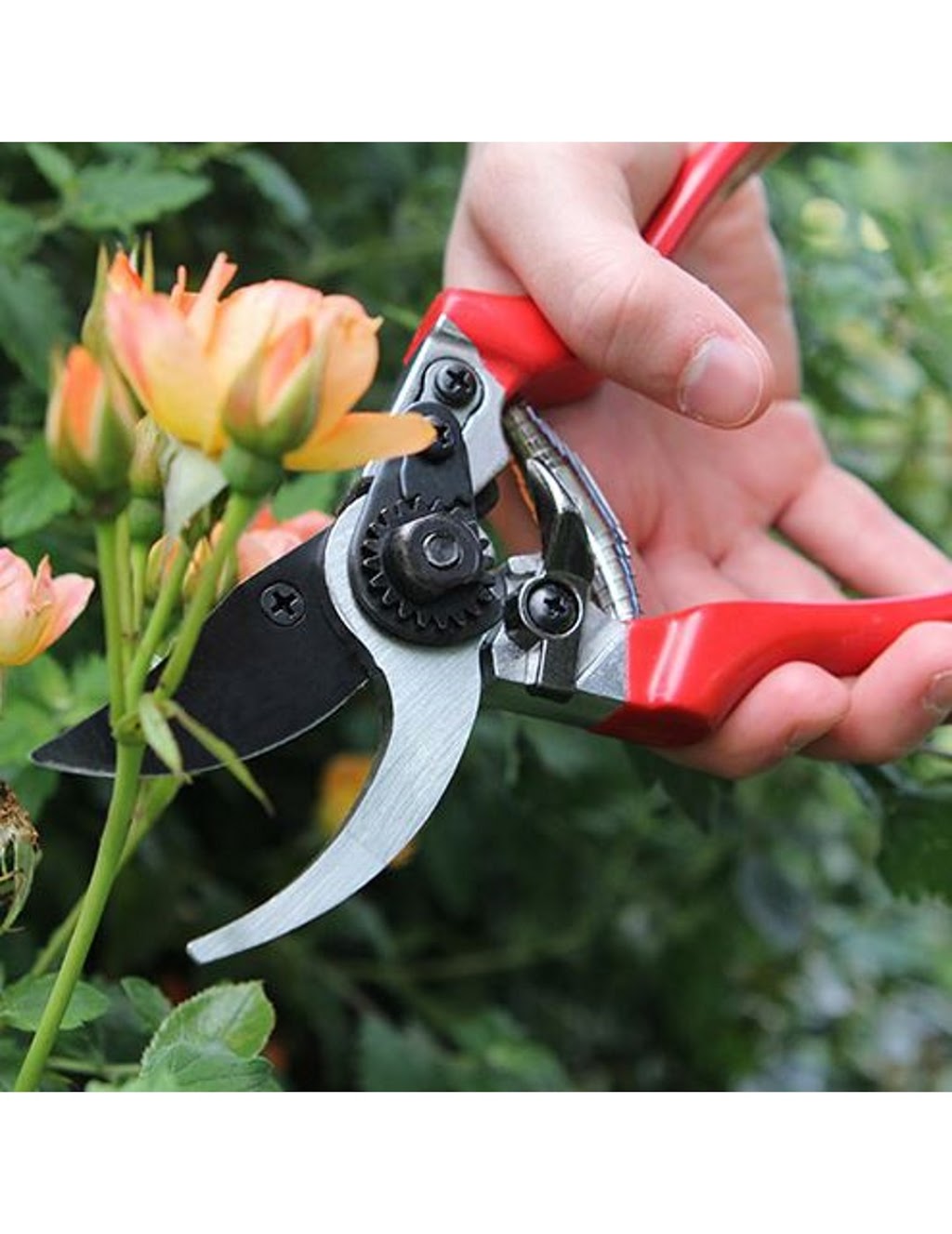 Darlac Gardening Tools | 15B Walker St, South Windsor NSW 2756, Australia | Phone: (02) 4571 6200