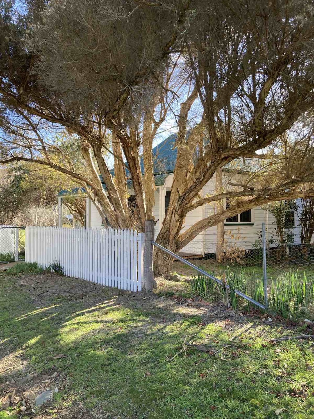 Lavender Cottage Sofala | 141 Upper Turon Rd, Sofala NSW 2795, Australia | Phone: 0418 168 783