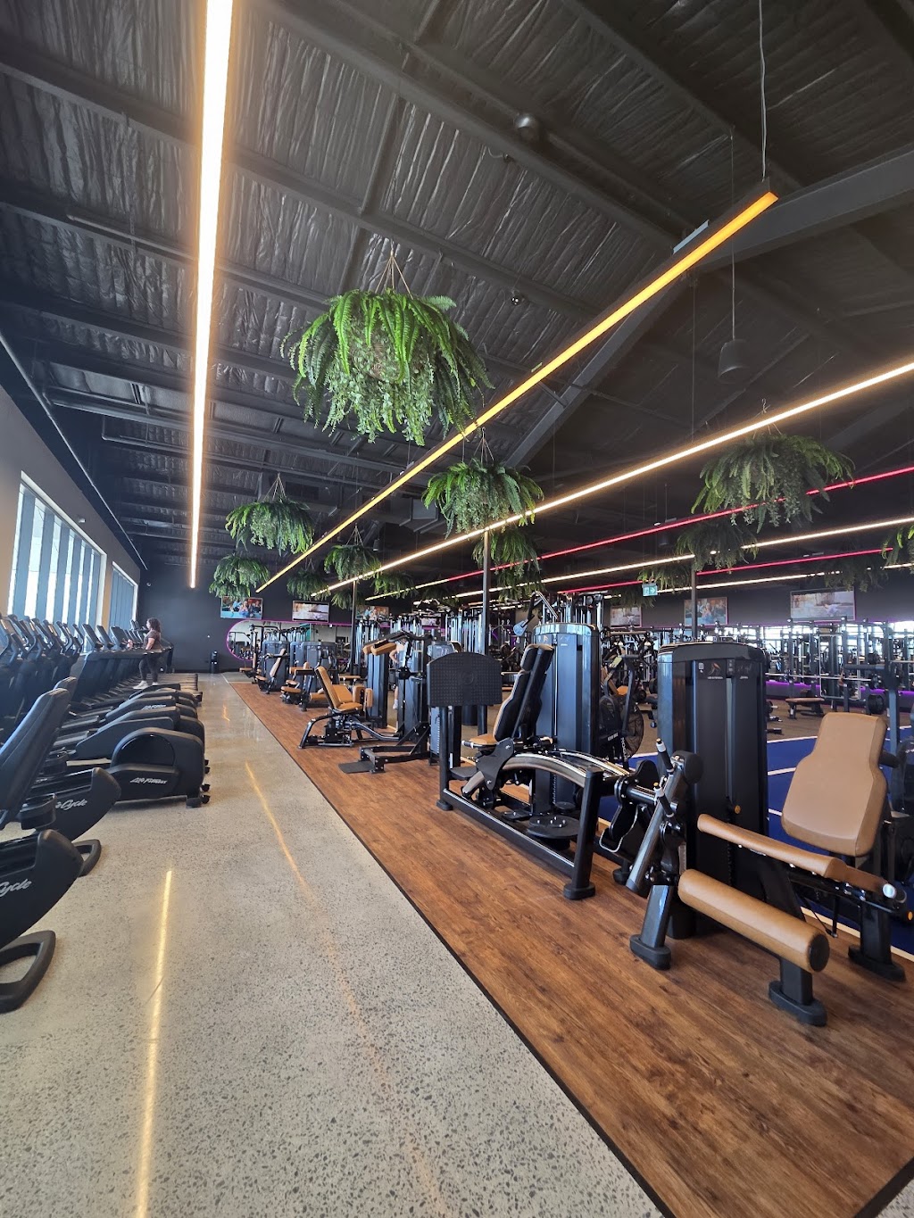 Live Well Health Clubs | 4 Lakefront Cres, Gables NSW 2765, Australia | Phone: 0488 994 455
