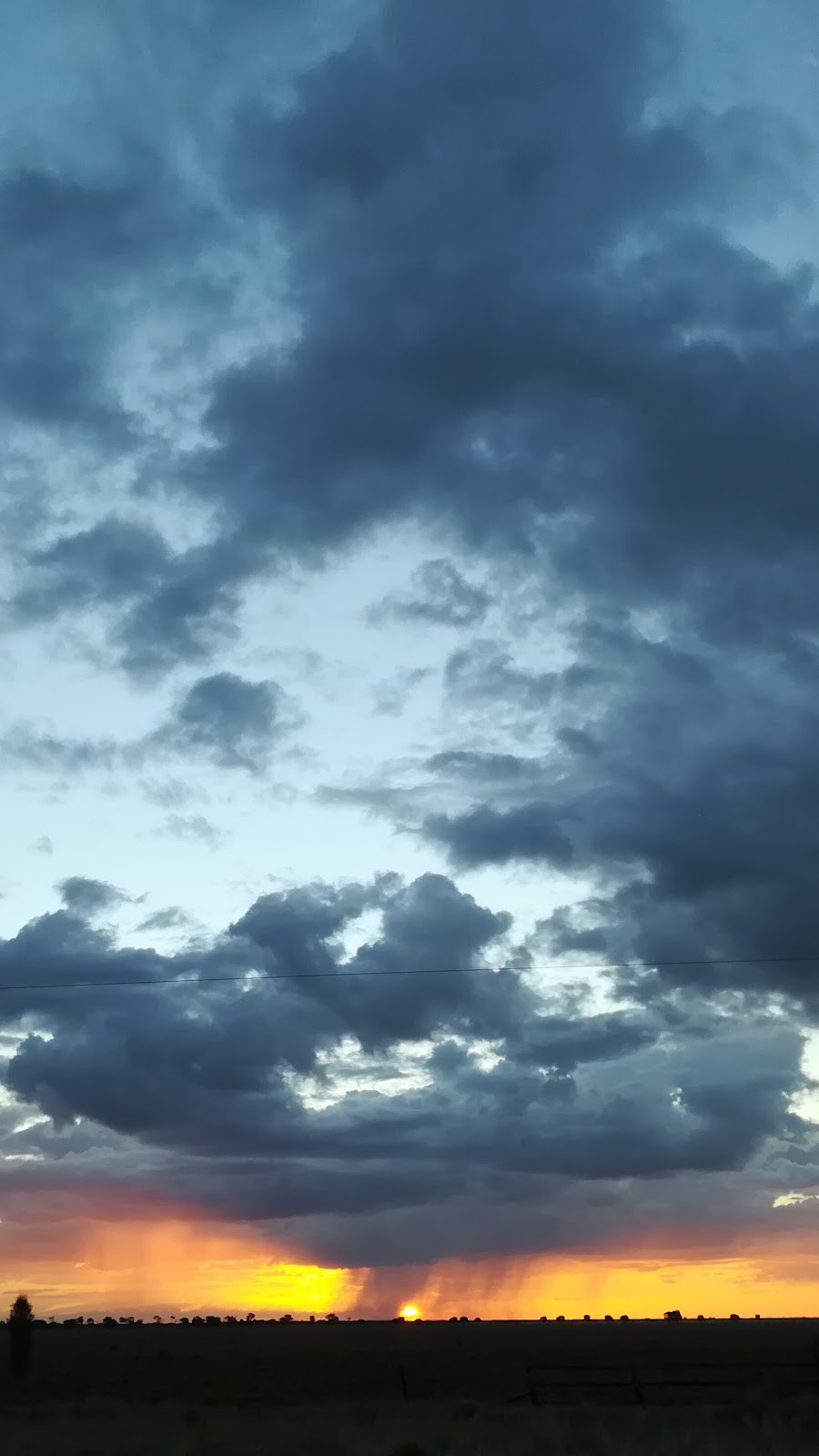 Mazeppa National Park | Frankfield QLD 4721, Australia | Phone: (07) 3170 5470