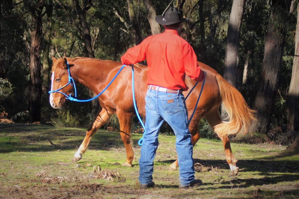 Mark Jones Training Stables | 420 Tschampions Rd, Macclesfield VIC 3782, Australia | Phone: 0448 001 547