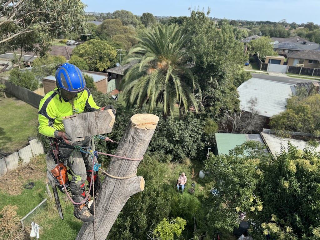 Bunyip Tree Solutions | 23 Doran Rd, Bunyip VIC 3815, Australia | Phone: 0421 286 983