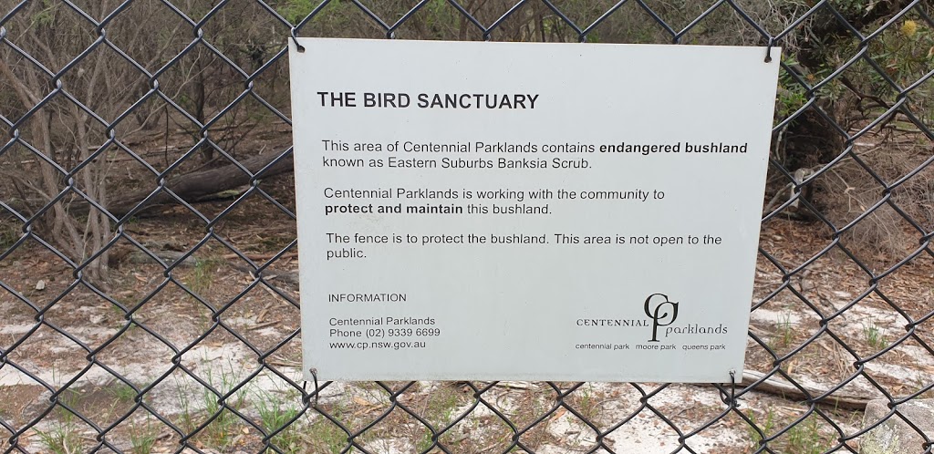 The Bird Sanctuary | park | 1 Grand Dr, Centennial Park NSW 2021, Australia