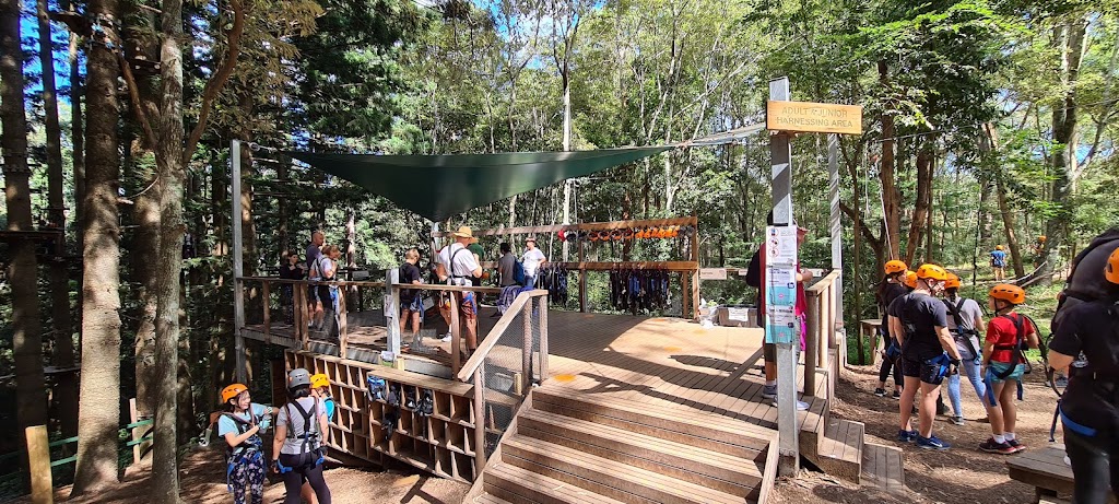 Treetops Adventure The Hills | Cumberland State Forest, 95 Castle Hill Rd, West Pennant Hills NSW 2126, Australia | Phone: (02) 9188 4051