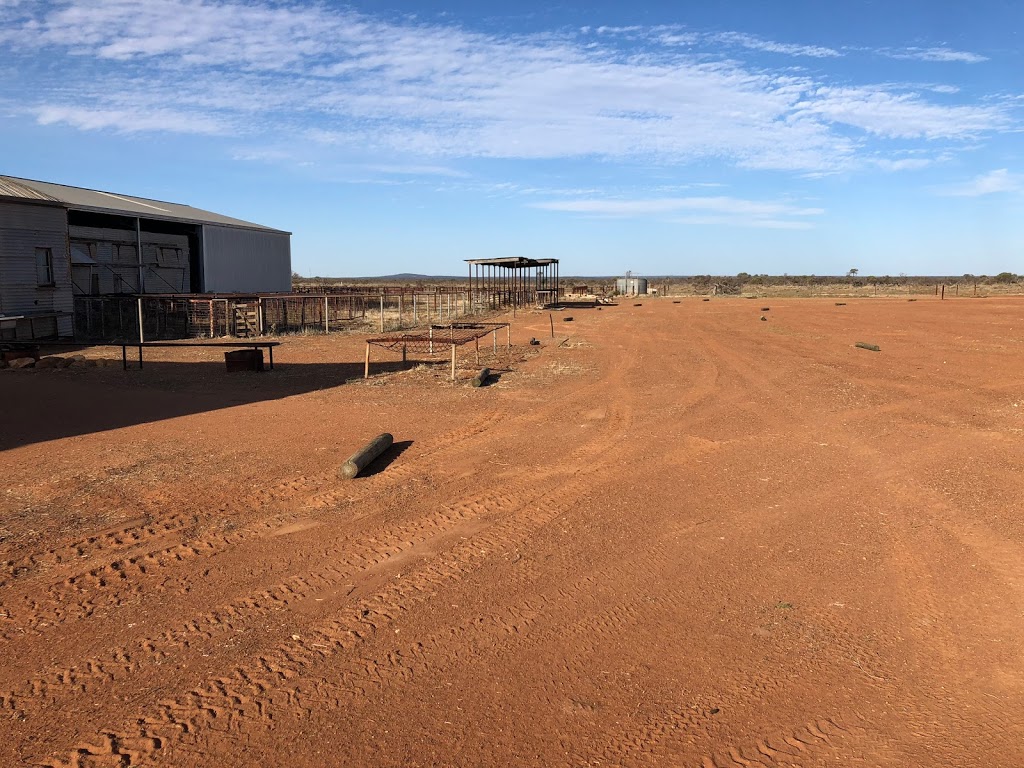 Station Stay at Mellenbye | Mellenbye Station, Morawa-Yalgoo Rd, Yalgoo WA 6635, Australia | Phone: (08) 9972 3072