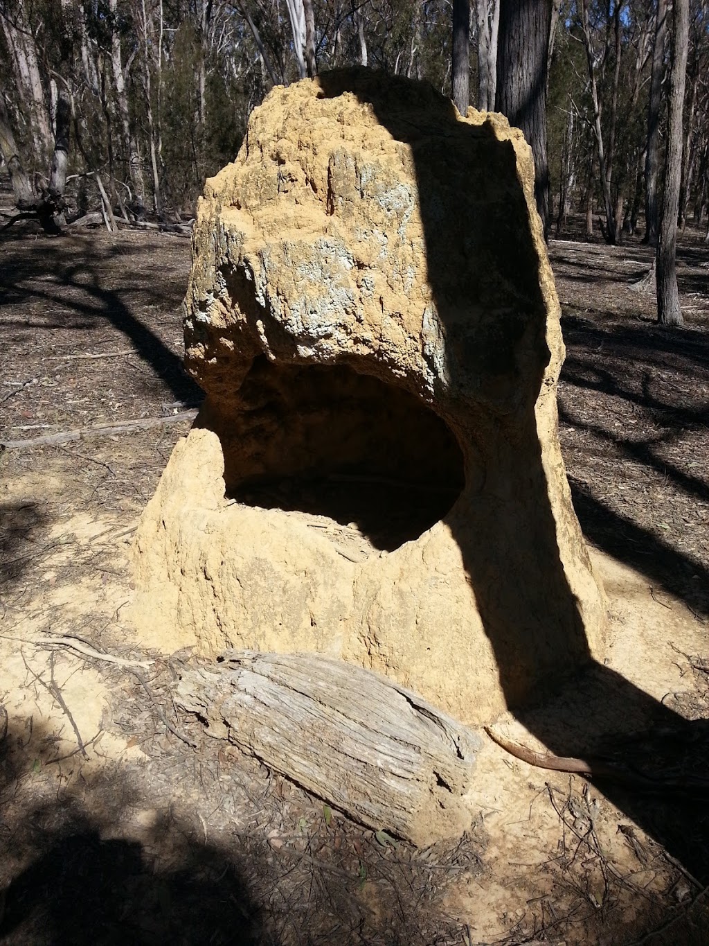 Imbota Nature Reserve | park | Armidale NSW 2350, Australia