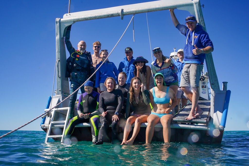 Shark Bay Seagrass Restoration | 1 Monkey Mia Rd, Monkey Mia WA 6537, Australia | Phone: 0428 835 468