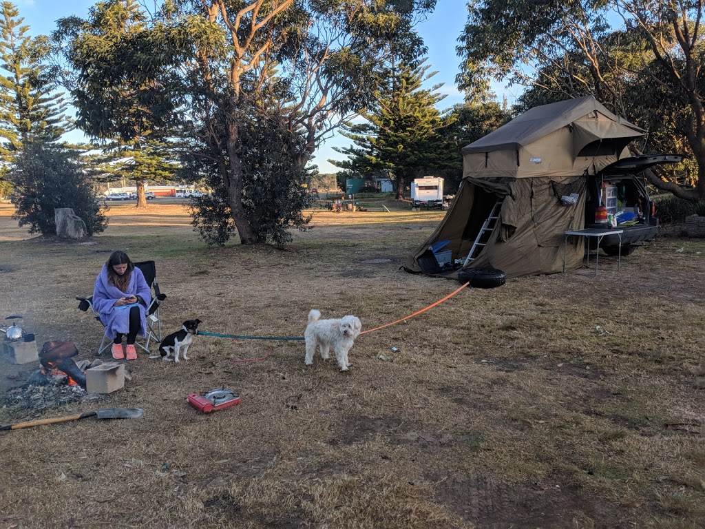 Moruya North Head Campground | campground | N Head Dr, Moruya NSW 2537, Australia | 0428633447 OR +61 428 633 447