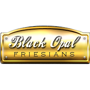 Black Opal Friesians |  | 210 Boyland Rd, Boyland QLD 4275, Australia | 0413118752 OR +61 413 118 752