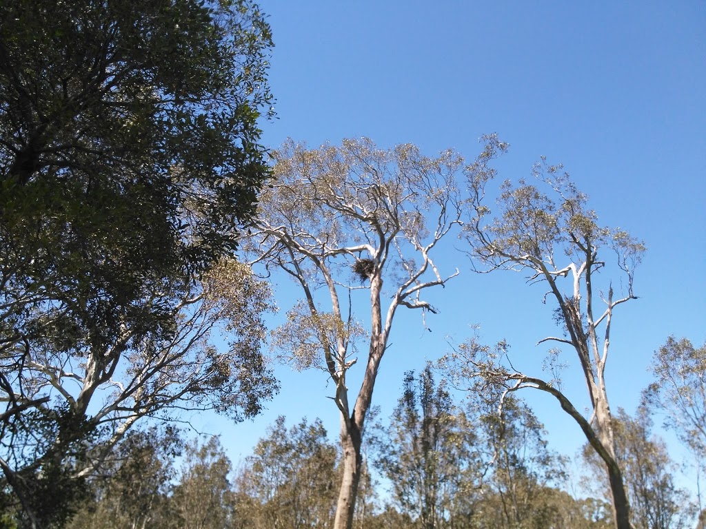 Bellbird Corner Riverside Reserve | park | Sandy Creek Rd, Maffra VIC 3860, Australia