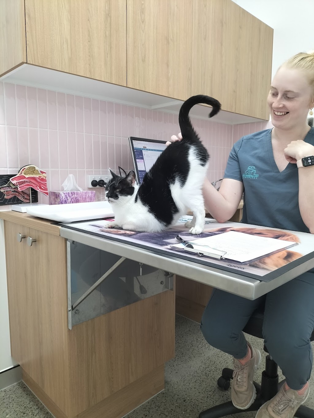 Sovereign Vet Hospital | 16 Chancellors Dr, Thrumster NSW 2444, Australia | Phone: (02) 5564 1288