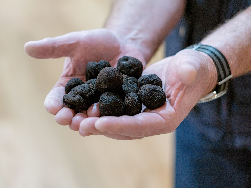 Alpine Truffles | 5b Mcmahons Ln, Smoko VIC 3741, Australia | Phone: 0413 964 707