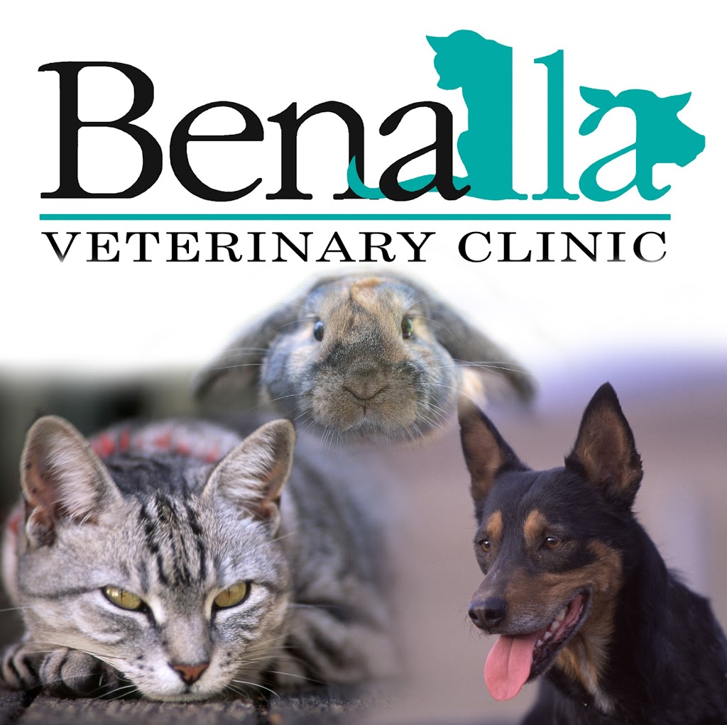 Benalla Veterinary Clinic | veterinary care | 16 Church St, Benalla VIC 3672, Australia | 0357622788 OR +61 3 5762 2788