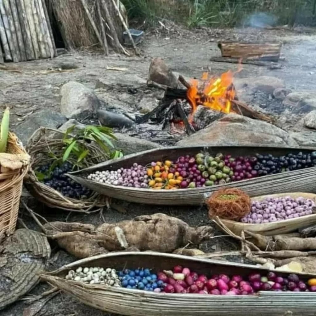 Jake Cassar Bushcraft | 1 Darkinjung Rd, Calga NSW 2250, Australia | Phone: 0405 424 124