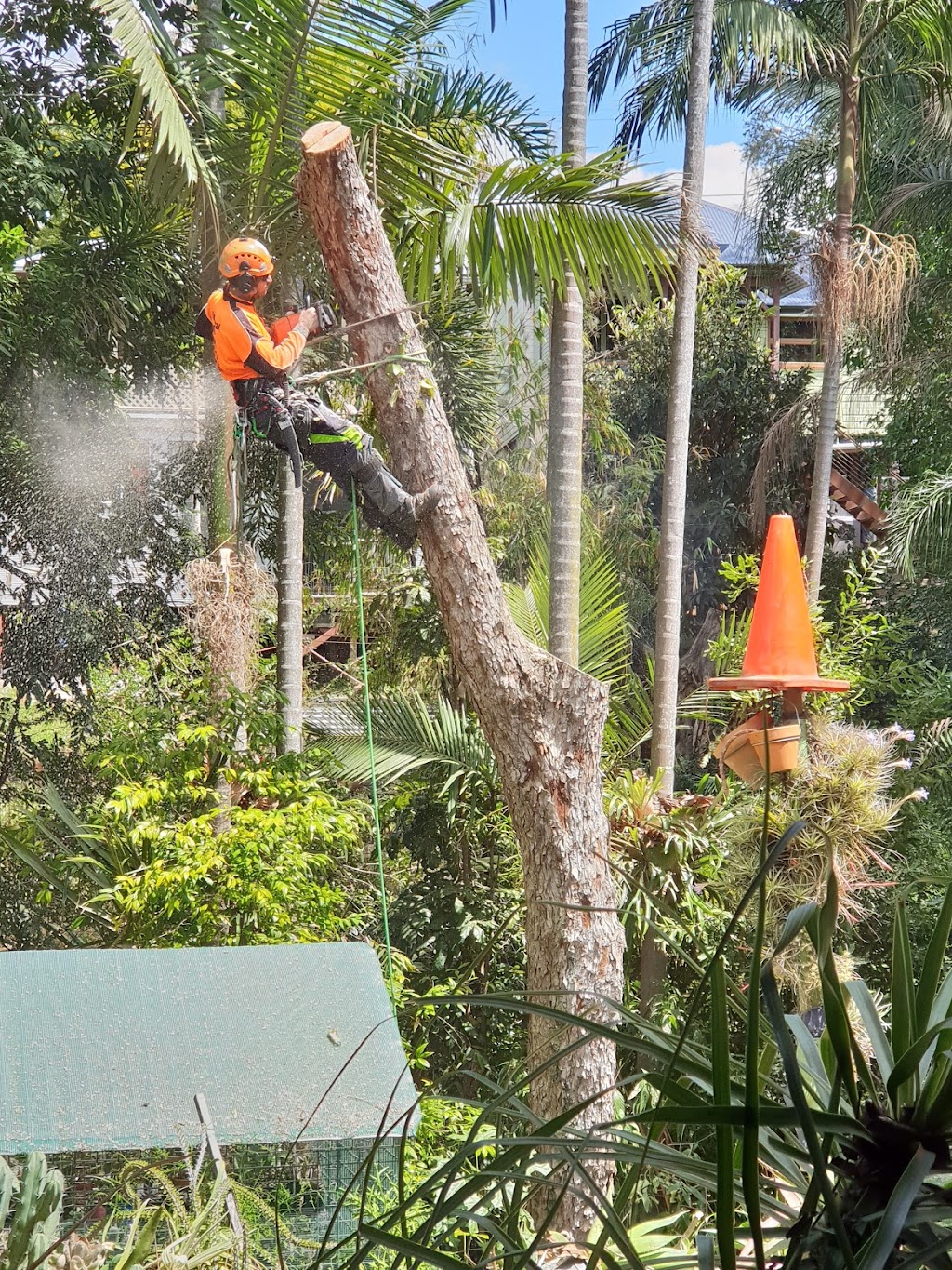 Advance Tree Lopping |  | 85 Waterford Tamborine Rd, Waterford QLD 4133, Australia | 0402209925 OR +61 402 209 925