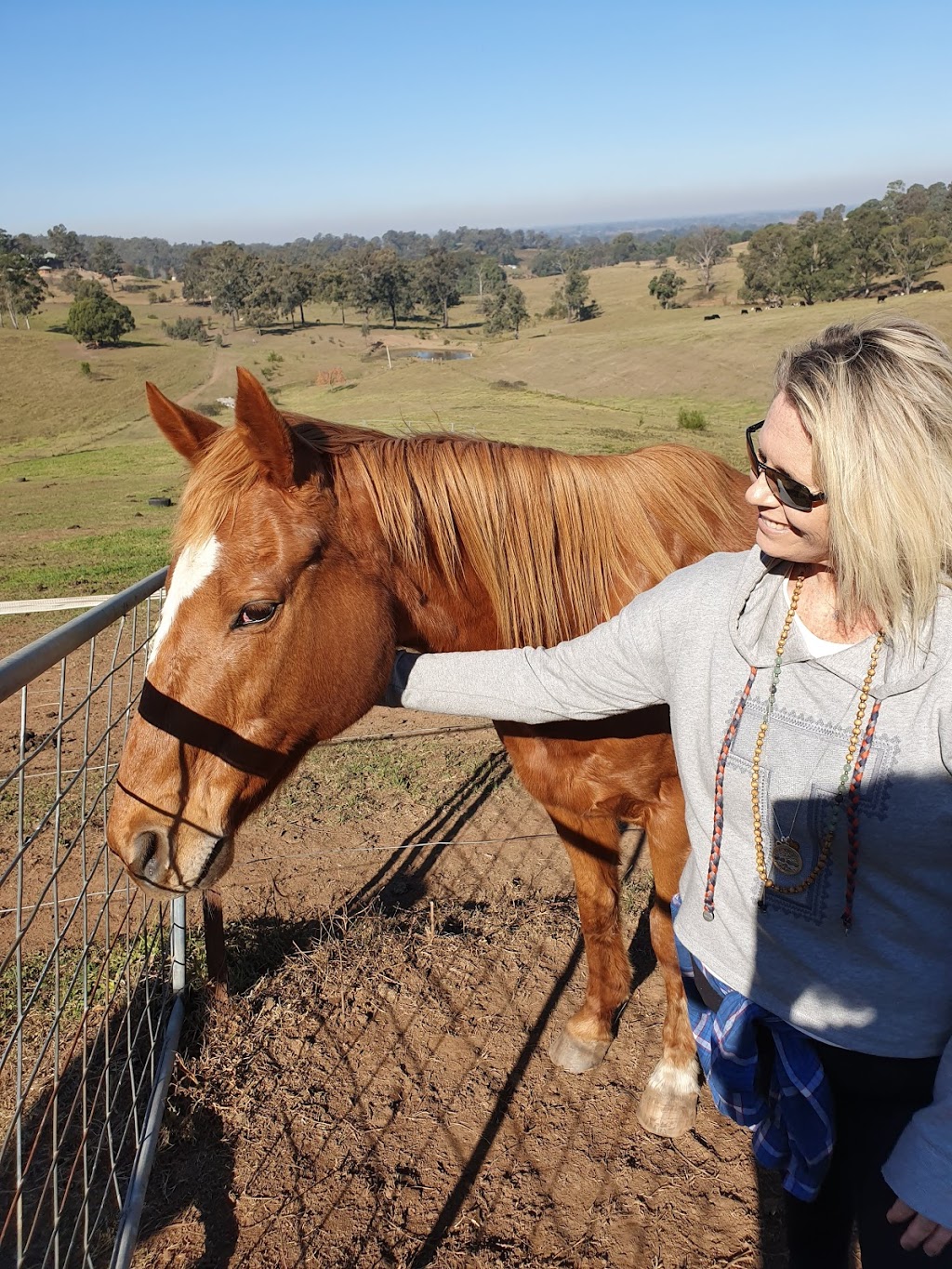 Horse Rescue Australia | 220 Crooked Ln, North Richmond NSW 2754, Australia | Phone: (02) 8250 1442