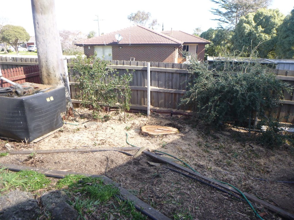 OConnors Tree Services | 66 Anthony St, Langwarrin VIC 3910, Australia | Phone: 0408 759 045