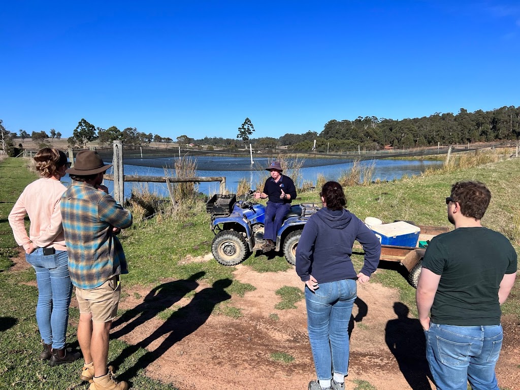 Forage Safaris | 17 Foreshore Parade, Busselton WA 6280, Australia | Phone: 0439 906 661