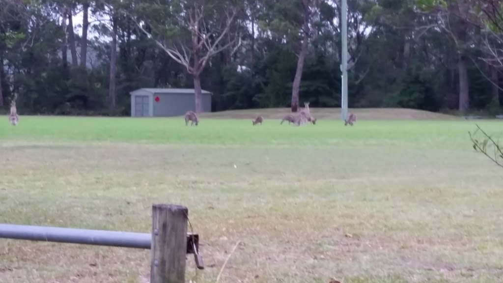 Calm Waters Waterfront Cottages | 187B Jacobs Dr, Sussex Inlet NSW 2540, Australia | Phone: 0491 037 886