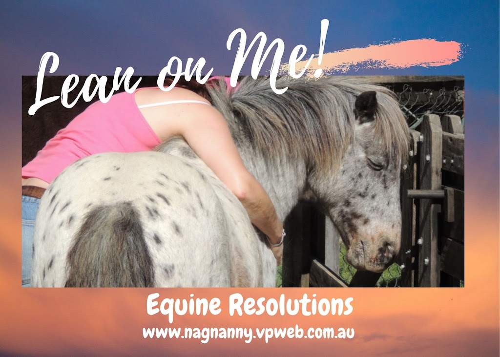 Equine Resolutions | health | 220 Flying Fox Rd, Ferny Glen QLD 4275, Australia | 0429091004 OR +61 429 091 004