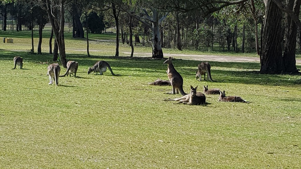 Broadford Golf Club | 30 Horwood Rd, Broadford VIC 3658, Australia | Phone: (03) 5784 1092