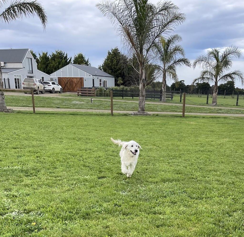 Bollies Oodle Farm Stay | off Yulungah Road, 166 Hillbricks Rd, Trafalgar VIC 3824, Australia | Phone: 0401 510 737