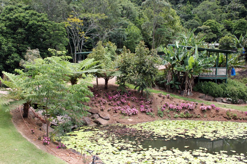 Maleny Botanic Gardens and Birdworld | park | 233 Maleny Stanley River Rd, Wootha QLD 4552, Australia