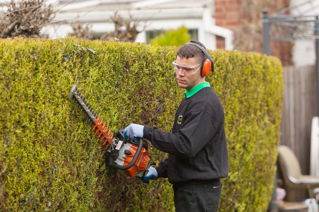 The Tree Services Moggill | 3366 Moggill Rd, Moggill QLD 4070, Australia | Phone: (07) 3608 1855