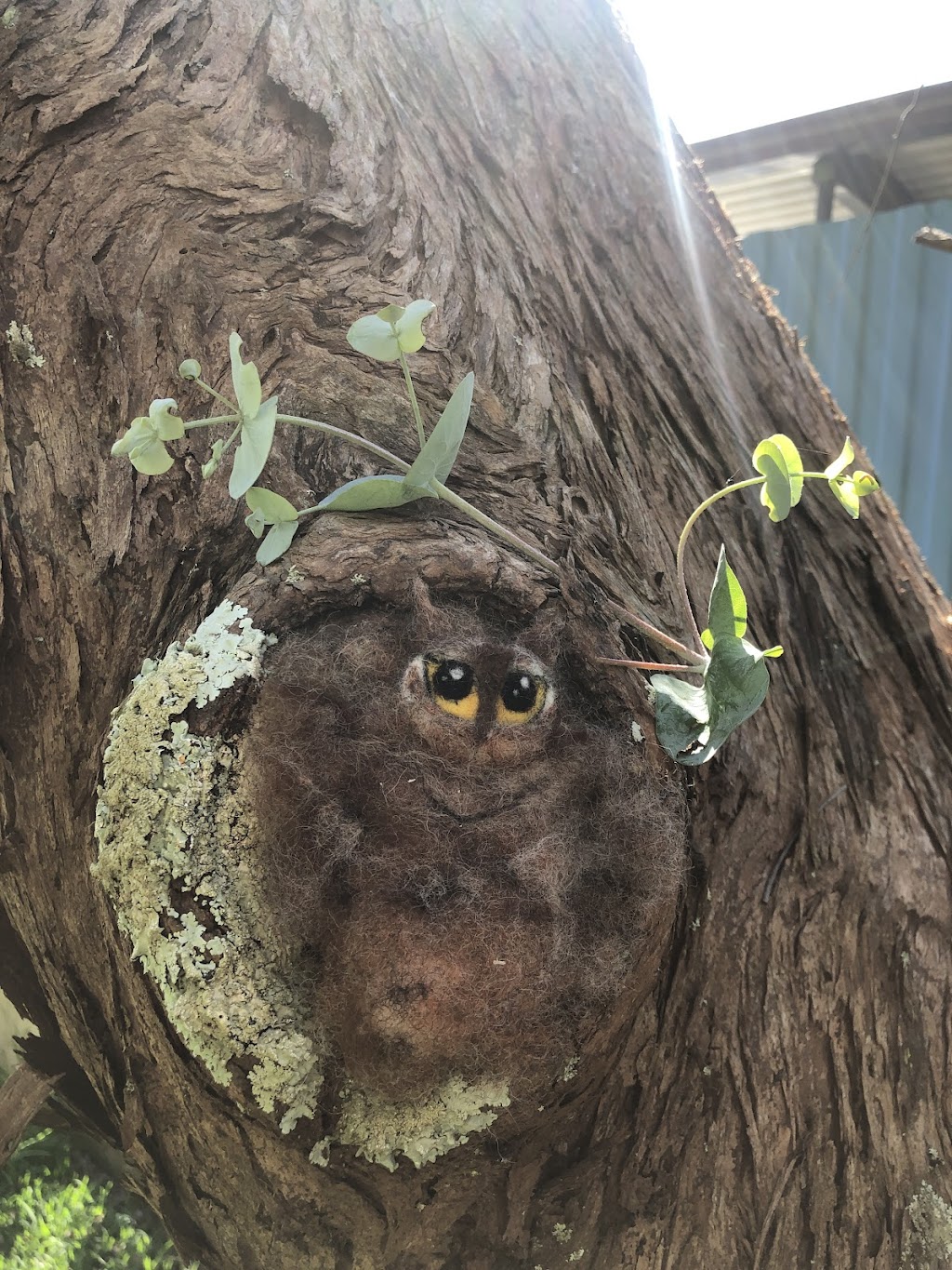 Needle felting by Am | 6 Annette Pl, Belrose NSW 2085, Australia | Phone: 0420 920 851
