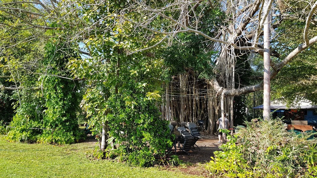 Banyan Tree Caravan & Tourist Park | rv park | 455 Litchfield Park Rd, Rum Jungle NT 0822, Australia | 0889760330 OR +61 8 8976 0330
