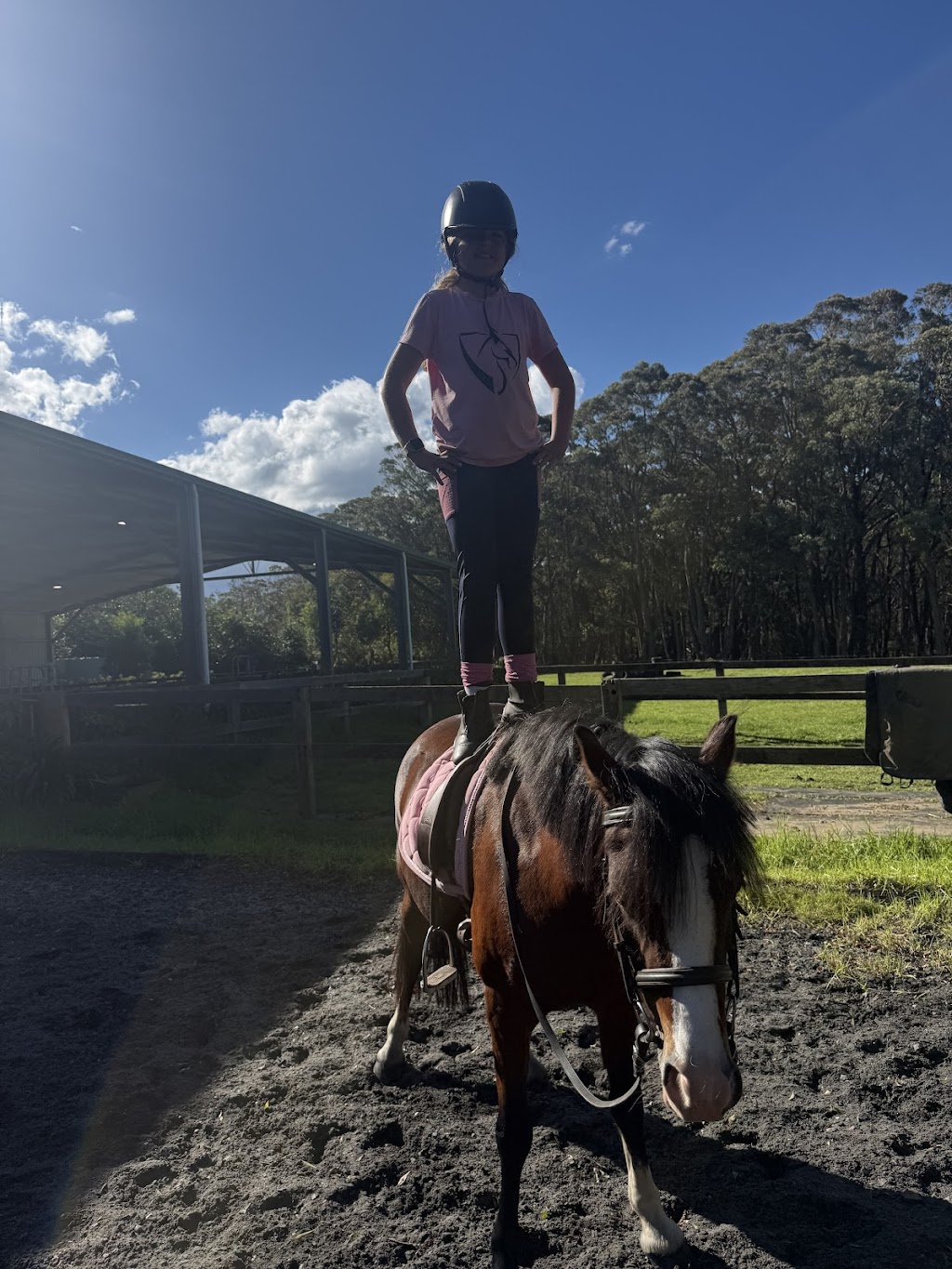 M & L Equestrian | 1171 Nowra Rd, Fitzroy Falls NSW 2577, Australia | Phone: 0402 218 470