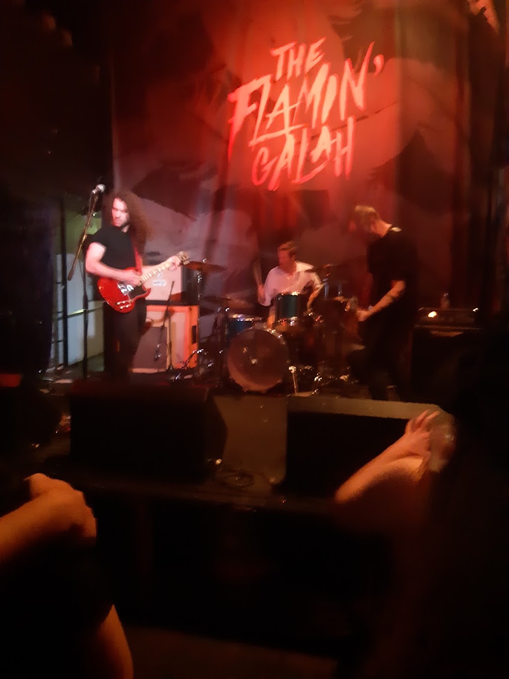 The Flamin Galah | 350 Upper Roma St, Brisbane City QLD 4000, Australia | Phone: 0422 012 837