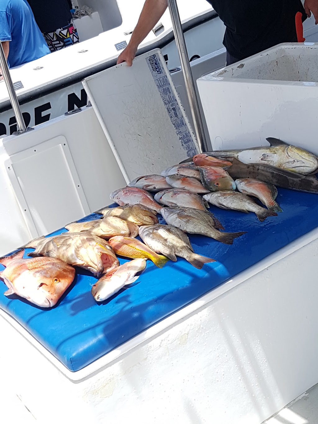 Fishing Offshore Noosa | Jetty, 256 Gympie Terrace, Noosaville QLD 4566, Australia | Phone: (07) 5449 9355