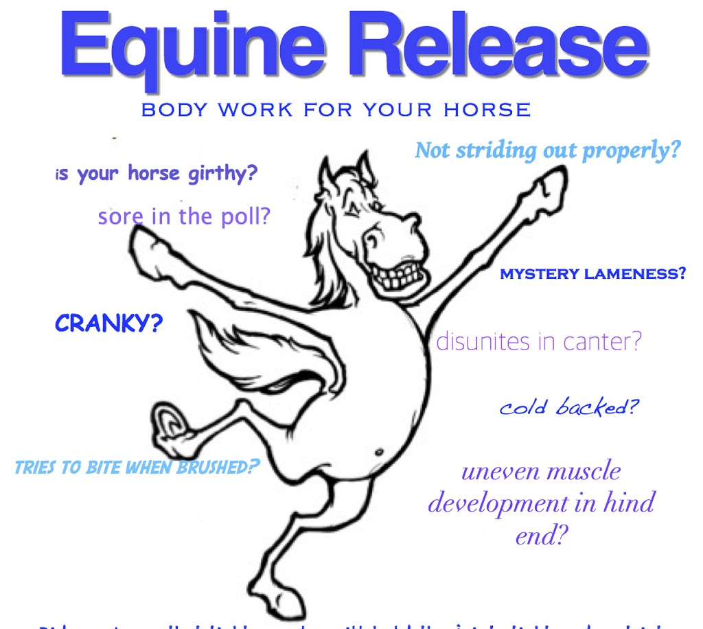 Equine Release | Grose Vale NSW 2753, Australia | Phone: 0417 680 316