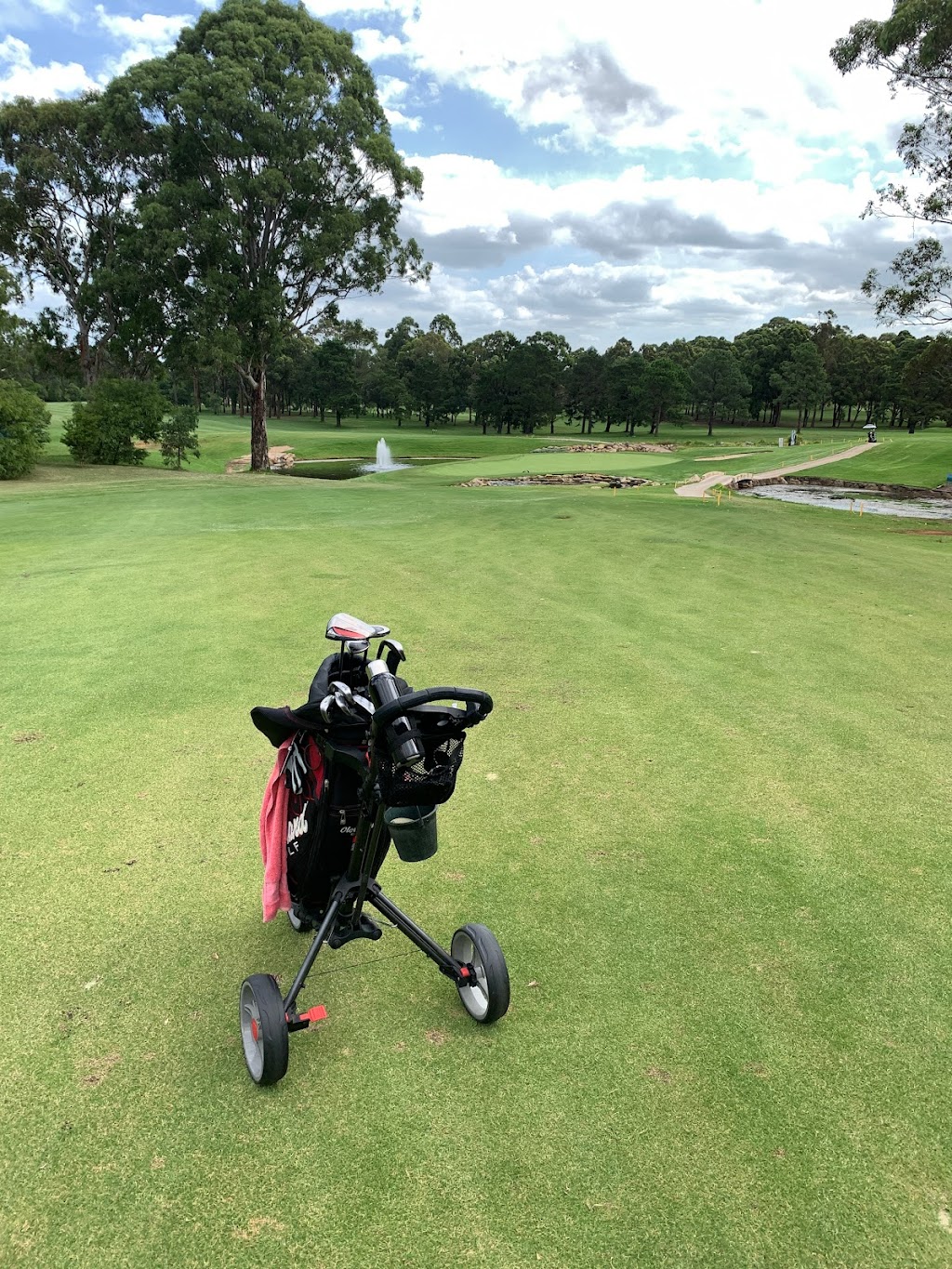 Cabramatta Golf Club | Corner Cabramatta Road West &, Cumberland Hwy, Cabramatta NSW 2166, Australia | Phone: (02) 9602 8283