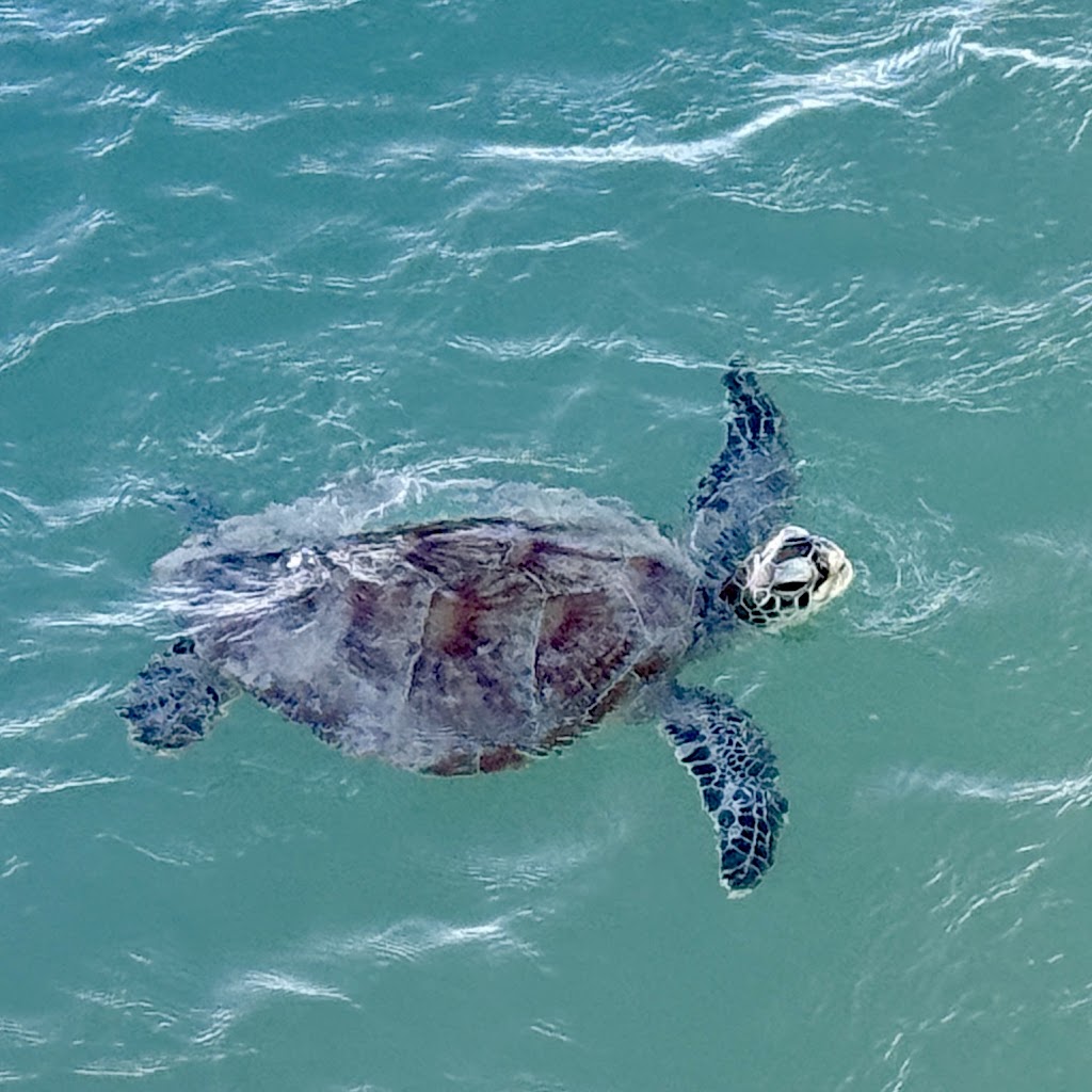 Monkey Mia Conservation Park Visitor Centre | Monkey Mia Visitor Center, 1 Monkey Mia Rd, Monkey Mia WA 6537, Australia | Phone: (08) 9948 2211