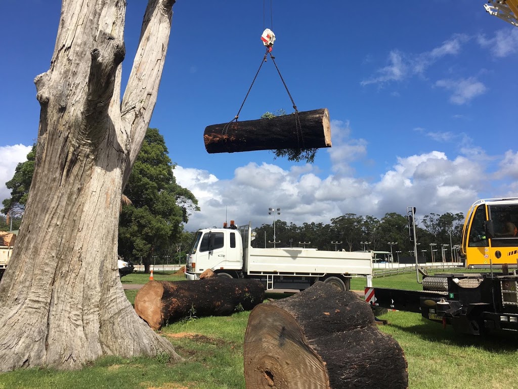 All Area Tree Service Pty Ltd | 21 Fountain Rd, Fountaindale NSW 2258, Australia | Phone: 0450 002 282